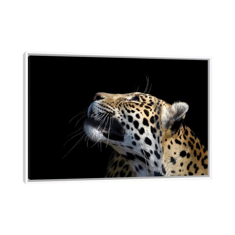 iCanvas "African Leopard" by Adrian Vieriu Framed - White - 26x40