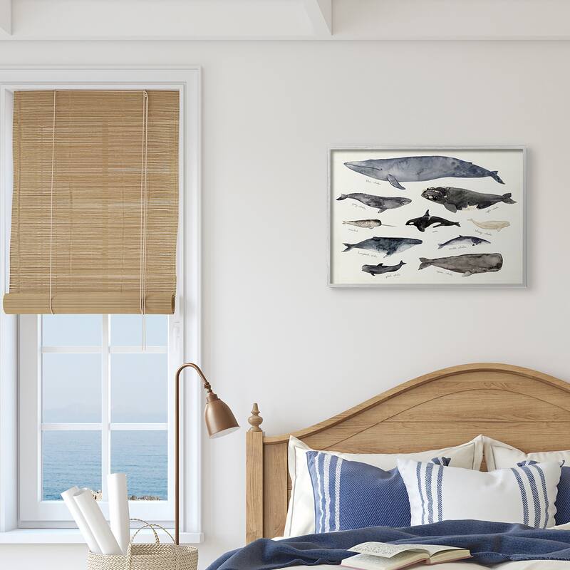 Stupell Vintage Nautical Chart of Whales Ocean LifeFramed Giclee Texturized Art by Victoria Barnes