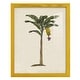 preview thumbnail 134 of 137, UA CH British Palms III -Framed Print w/glass-Cherry Red 12x15 - Yellow