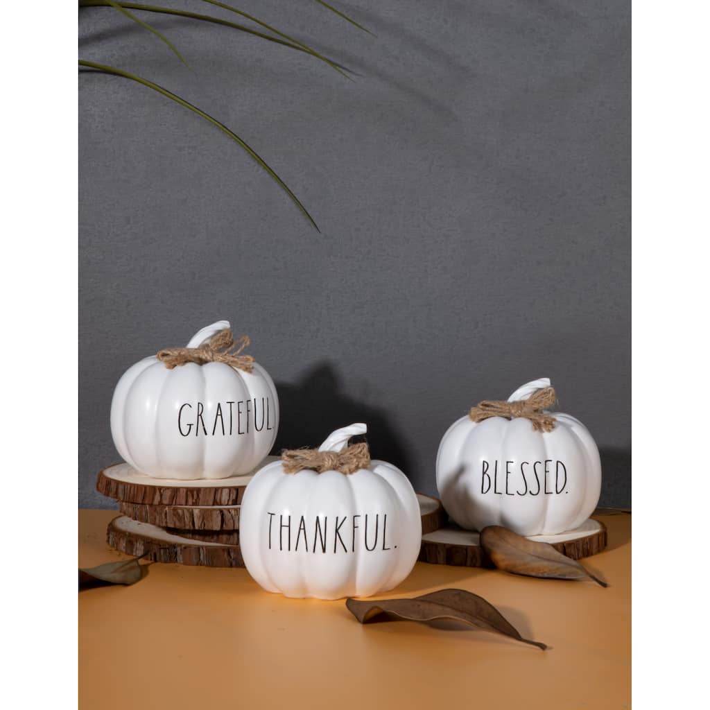 RAE DUNN Thanksgiving Decorative Pumpkins - Set Of 3