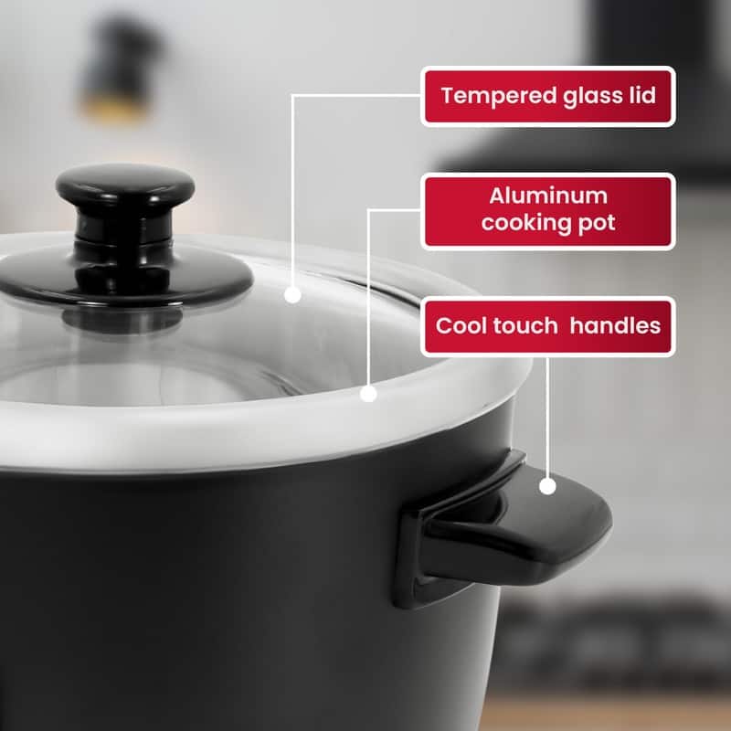 ERC005 6 Cup Rice Cooker with Glass Lid
