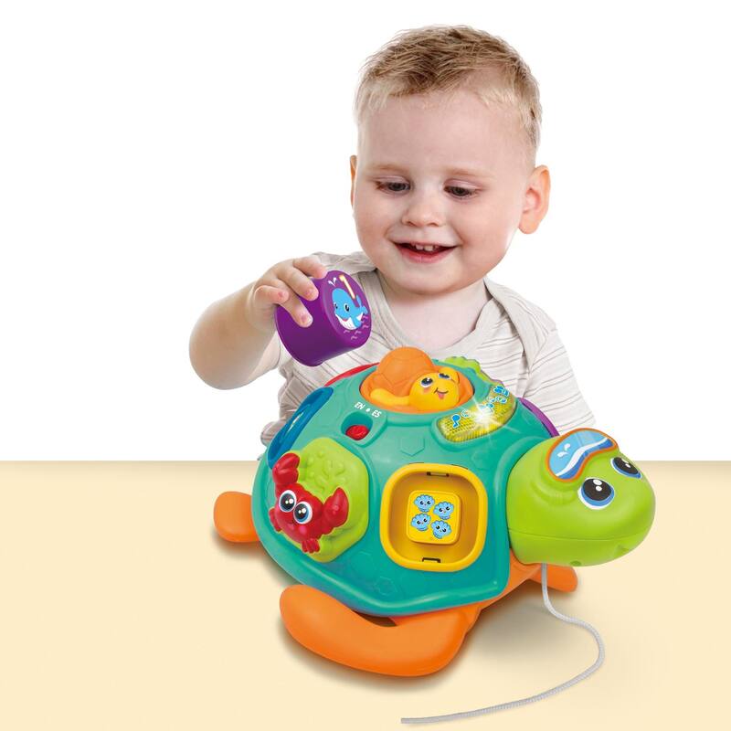 Bilingual Pull along sort 'n Learn Turtle