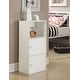 preview thumbnail 18 of 22, Convenience Concepts Xtra Storage 2 Door Cabinet with Shelf White
