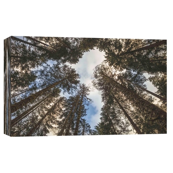 PTM Images 9-102120 PTM Canvas Collection 8" x 10" - "Beauty in the Trees" Giclee Trees Art Print on Canvas