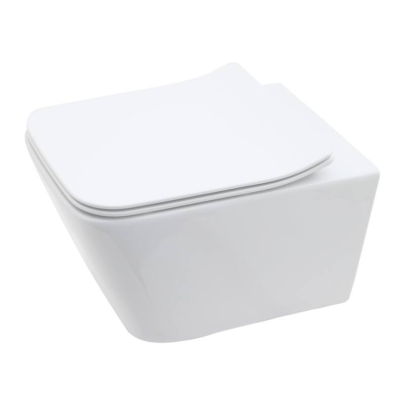 Wall Hung Toilet, Wall Mounted Elongated Toilet, White - White
