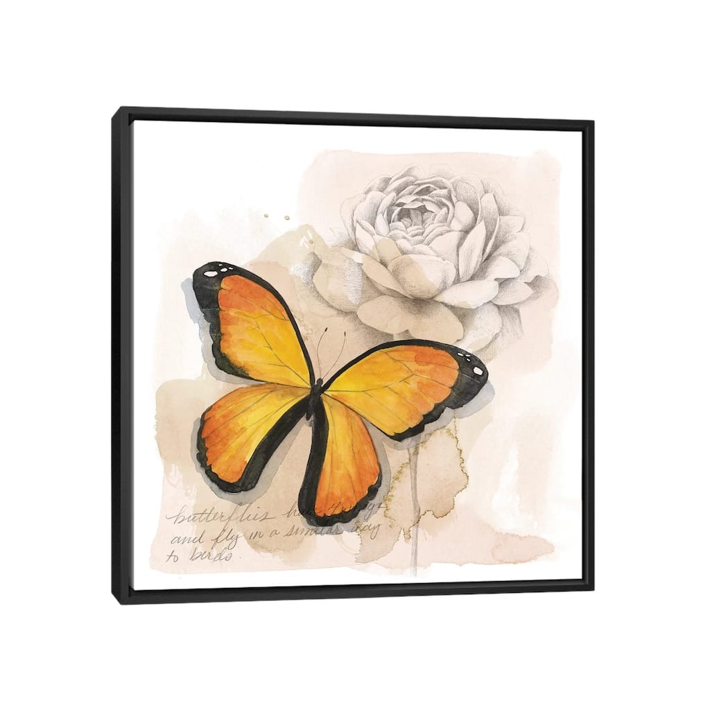 iCanvas "Shadow Box Butterfly IV" by Grace Popp Framed Canvas Print