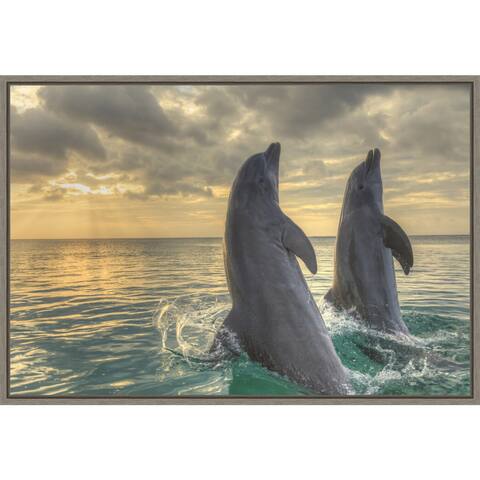 Dolphin Dance by Stuart Westmorland Danita Delimont Framed Canvas Art
