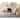 Martha Stewart Irmhilde Contemporary Sisal Rug