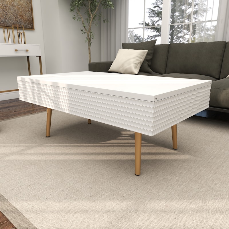 Wood Coffee Table with Storage and Gold Legs - White - Roche River Decor