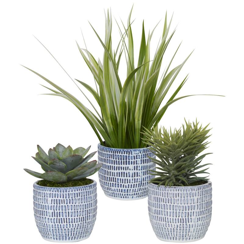 Uttermost 60192 Puebla Set of (3) Greenery Succulent and Spider Plants - Cobalt Blue / White - Cobalt Blue / White