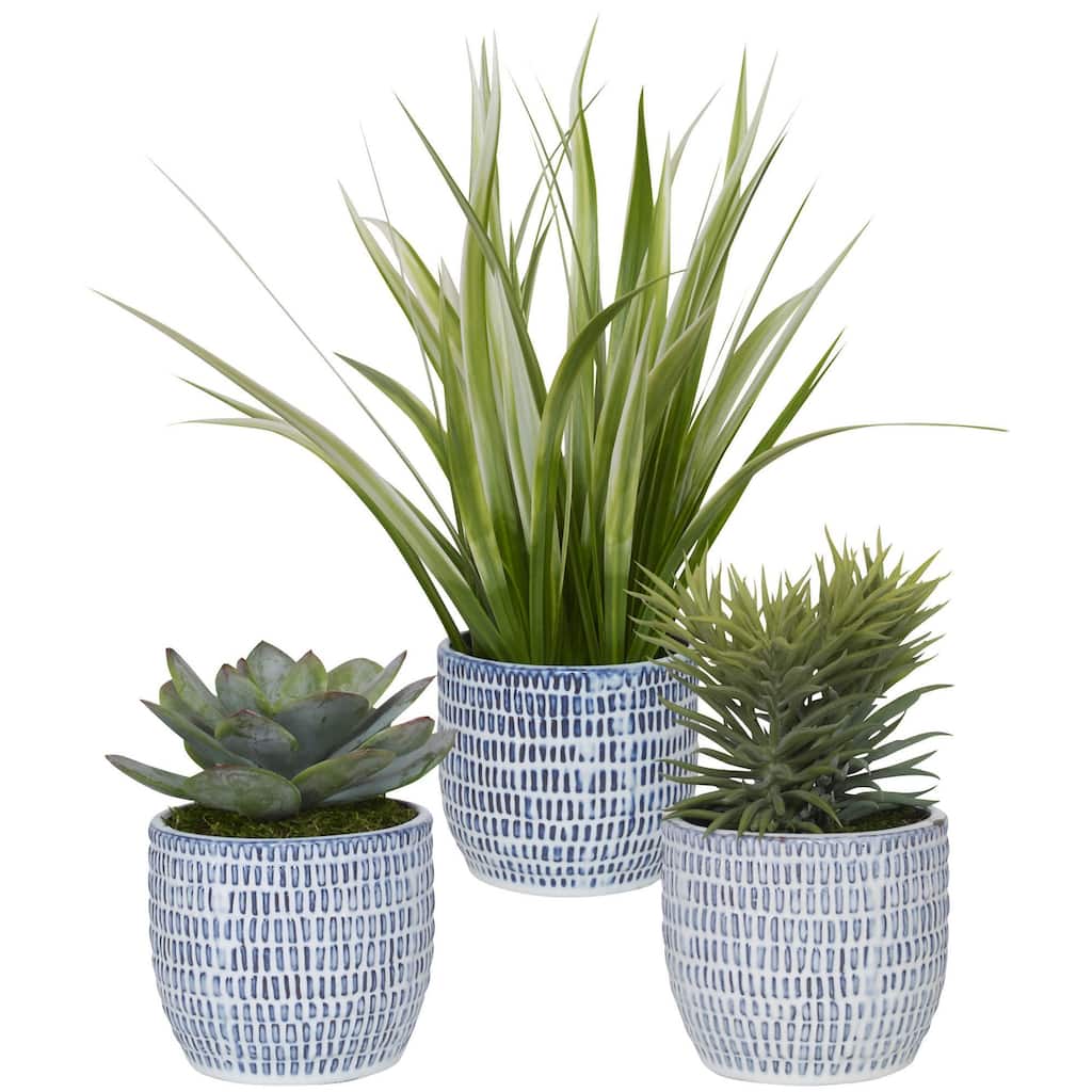 Uttermost 60192 Puebla Set of (3) Greenery Succulent and Spider Plants - Cobalt Blue / White