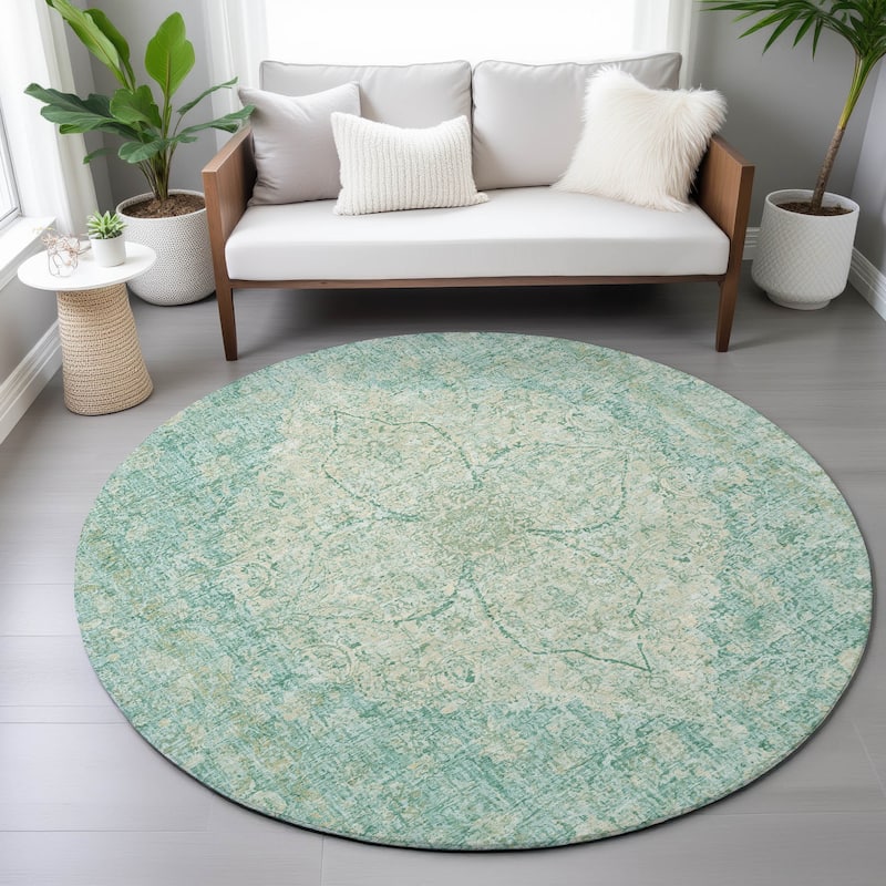 Machine Washable Indoor/Outdoor Traditional Global Chantille Rug