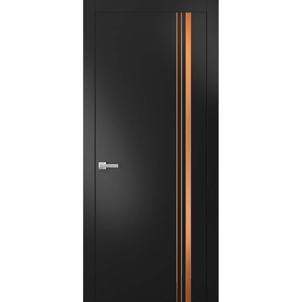 Solid French Door 18 x 80 Planum 1010 Matte Black with| Bathroom