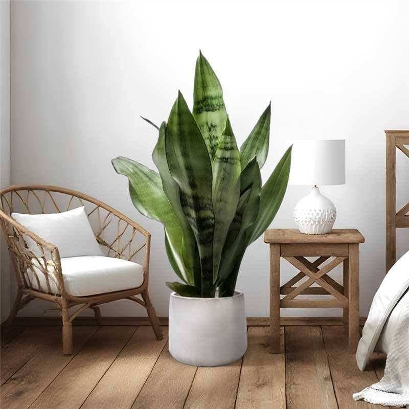 Handmade Ceramic Planter Set of 4 - Perfect for Succulents & Cacti