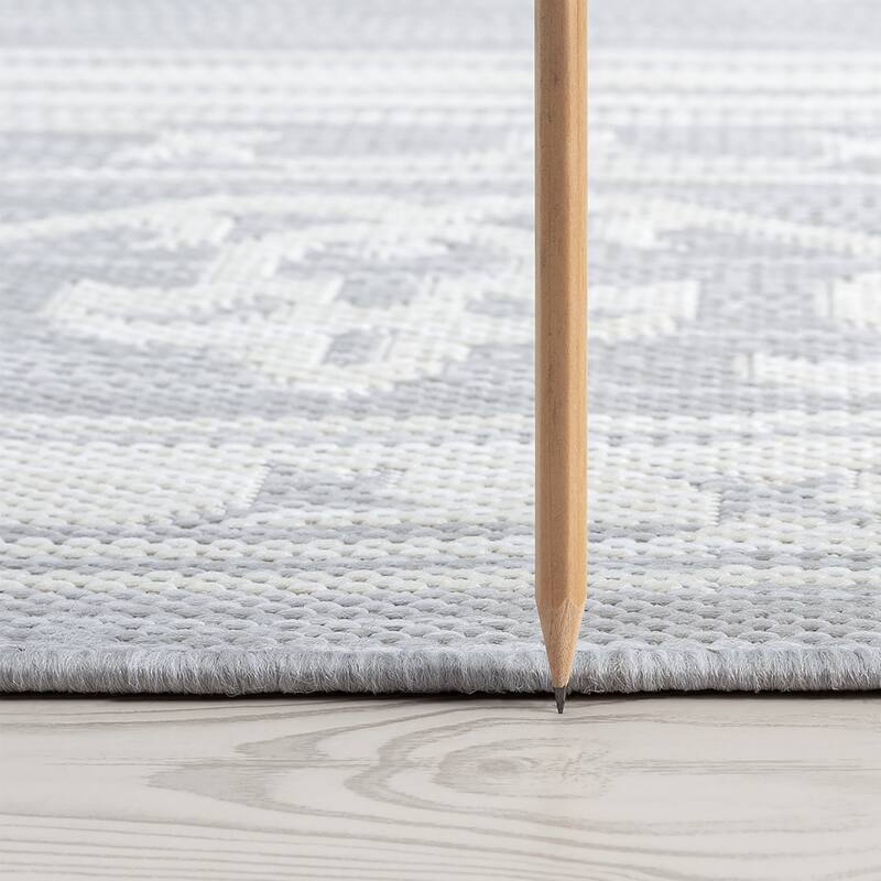 Exo Coastal Oriental Indoor/Outdoor Area Rug