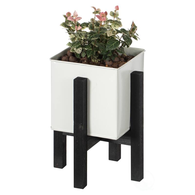 Indoor and Outdoor White Iron Planting Box with Black Wooden Frame - Small