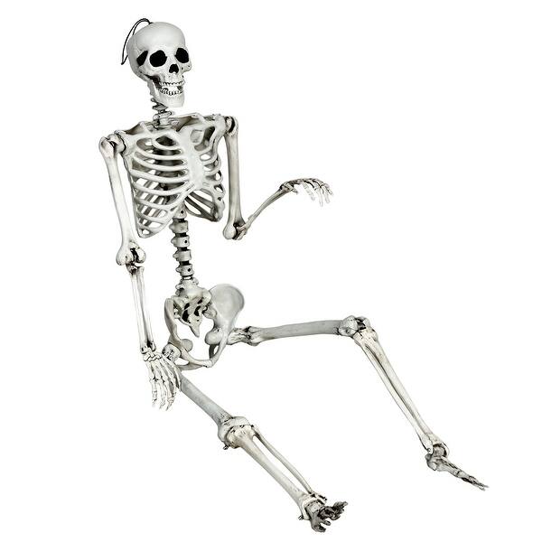 Shop Costway 5 4ft Halloween Skeleton Life Size Realistic Full