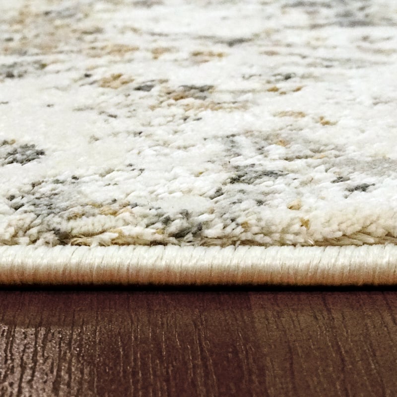 Dynamic Rugs Quartz Transitional Area Rug