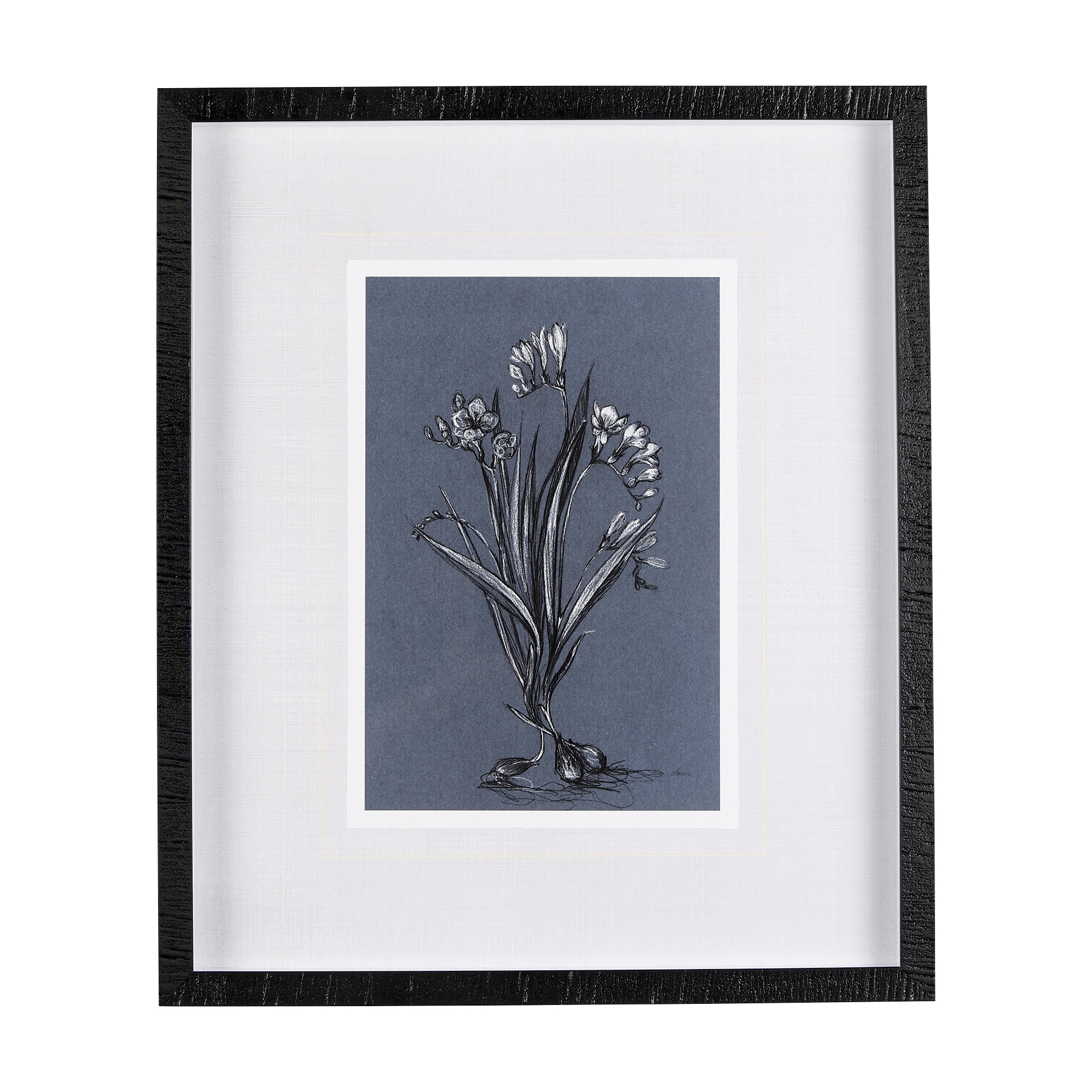 Botanical sketches III (Blue) by Mercana Studio Hand Embellished Framed Art Print Matted under Glass