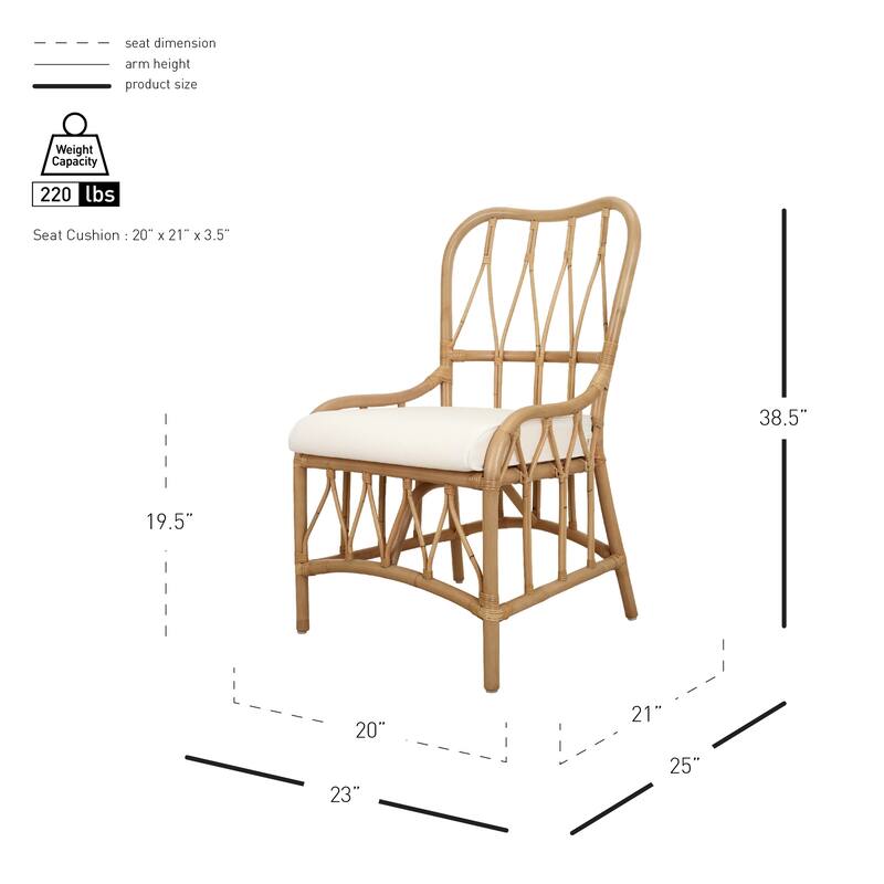 NPD Furniture Ayanna Modern Bohemian Rattan Dining Chair