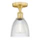 Option Clear / Satin Gold