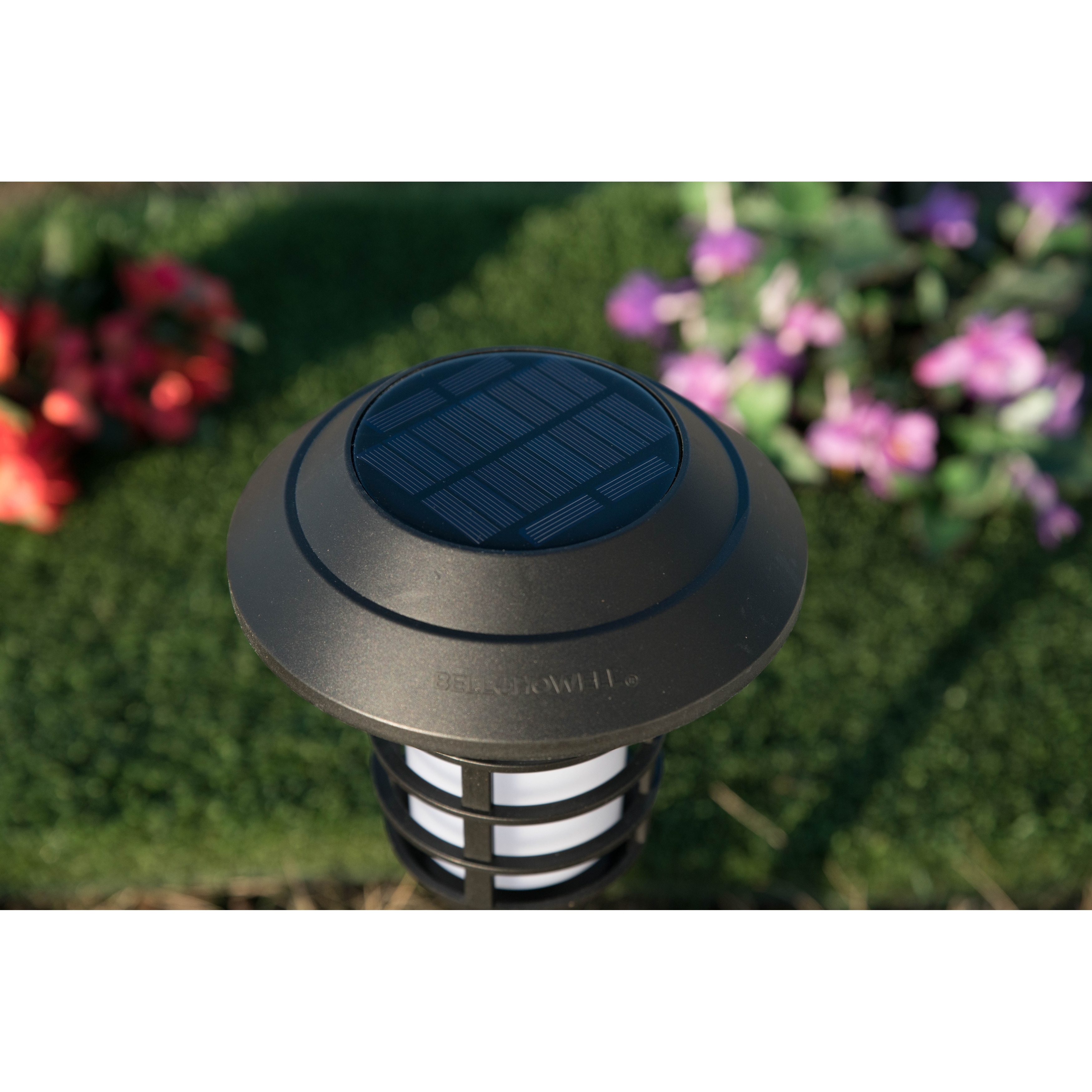 Bell and Howell Solar Powered Pathway Lights On Sale Bed Bath Beyond 31474886