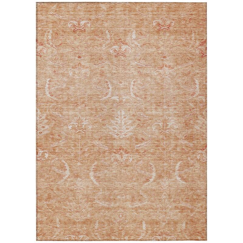 Machine Washable Indoor/ Outdoor Boho Traditional Chantille Rug