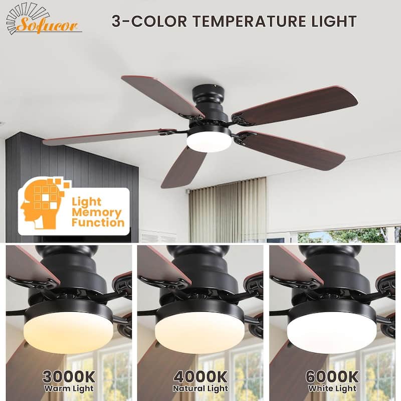 42"/52" Ceiling Fan with Remote,Dual Blade Finish,3CCT LED Light,Plywood Blades,Flush Mount and Downrod Mount