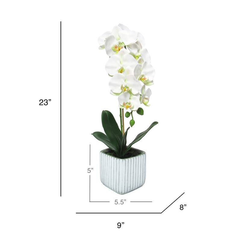Cream White Artificial Phalaenopsis Orchid Flower Arrangement in Square Embossed Stripe Ceramic Pot 23in - 23" H x 9" W x 8" DP