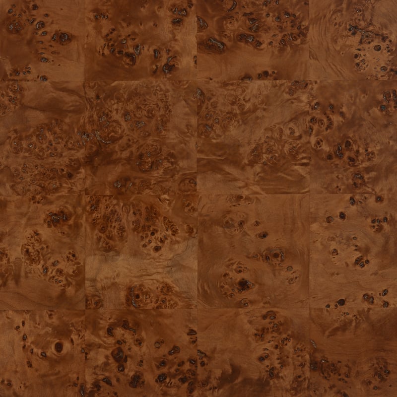 SAFAVIEH Couture Betharose Burl Wood Coffee Table - 55"W x 28"D x 18"H