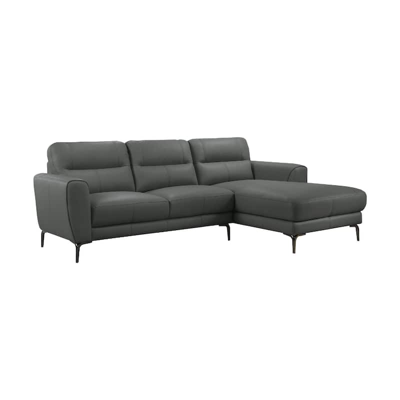 Hena 2pc Sectional Sofa w RAF Chaise, Modern Style, Gray Full Leather