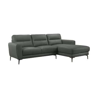 Hena 2pc Sectional Sofa w RAF Chaise, Modern Style, Gray Full Leather