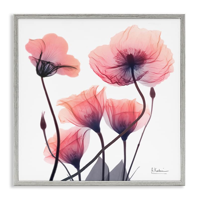 Stupell Elegant Modern Poppy Buds Framed Giclee Art Design By Albert Koetsier - 17 x 17 - Grey