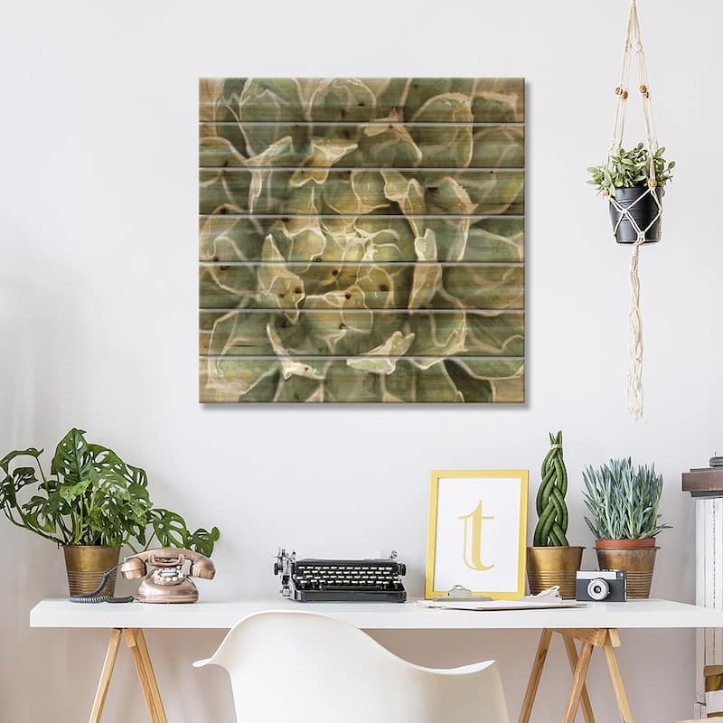 Succulent VII Print On Wood by Lindsay Benson - Multi-Color