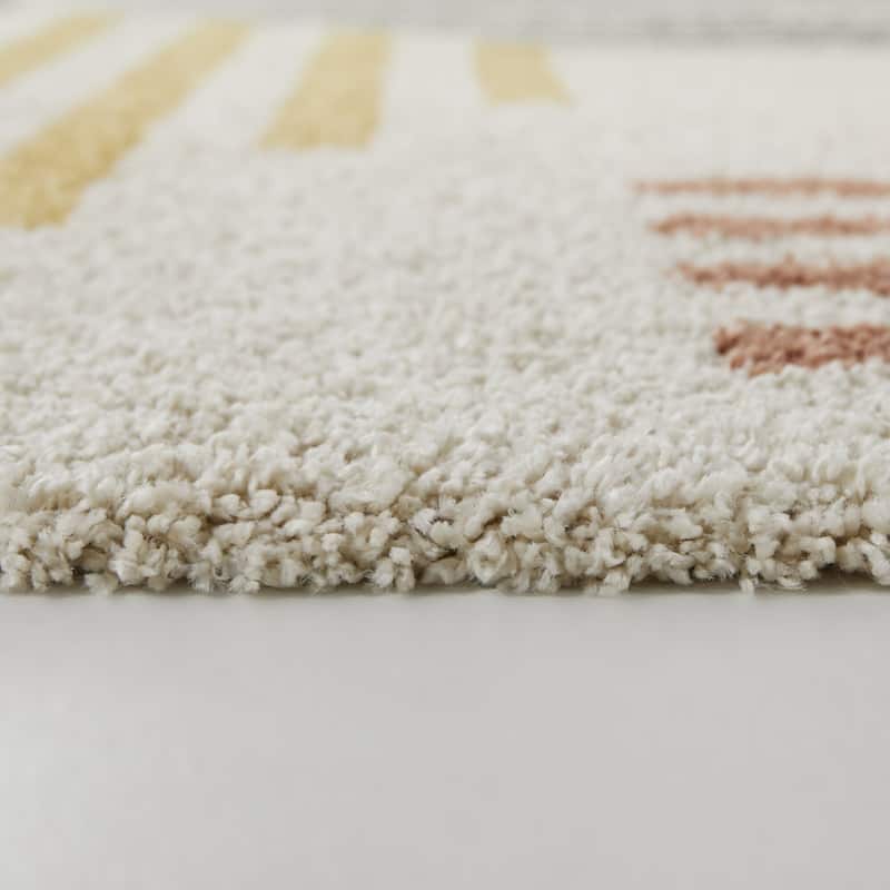 Cranston Modern Border Shag Area Rug