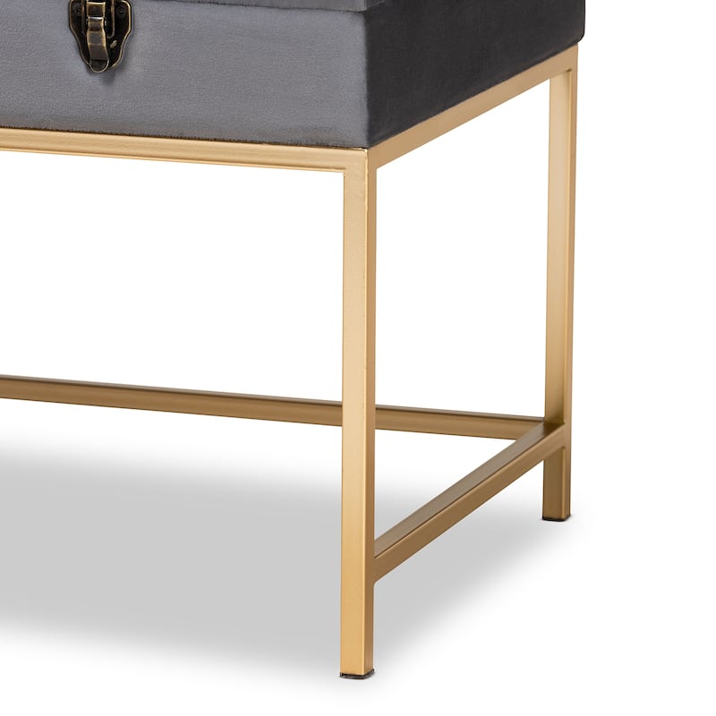 Aliana Glam and Luxe Velvet and Gold Metal Large Storage Ottoman