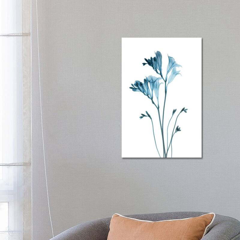 iCanvas "Blue Freesia" by Albert Koetsier Canvas Print - 26x18x1.5
