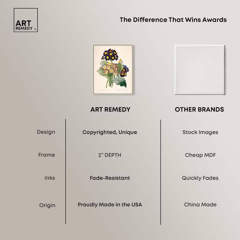 Auricula Varieties Canvas by Art Remedy