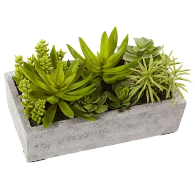 Succulent Garden Decor - Antique Style Planter with Live Plants - Home Office Shelf Decor - 0.54ft.