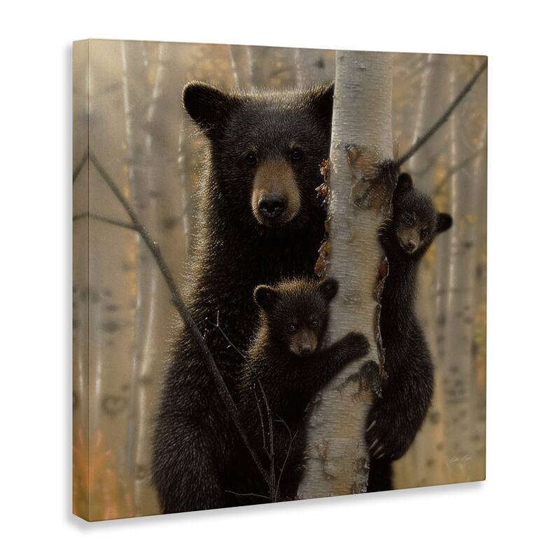 Stupell Black Bear and Cubs Soft Birch Tree Forest Canvas Wall Art - Brown