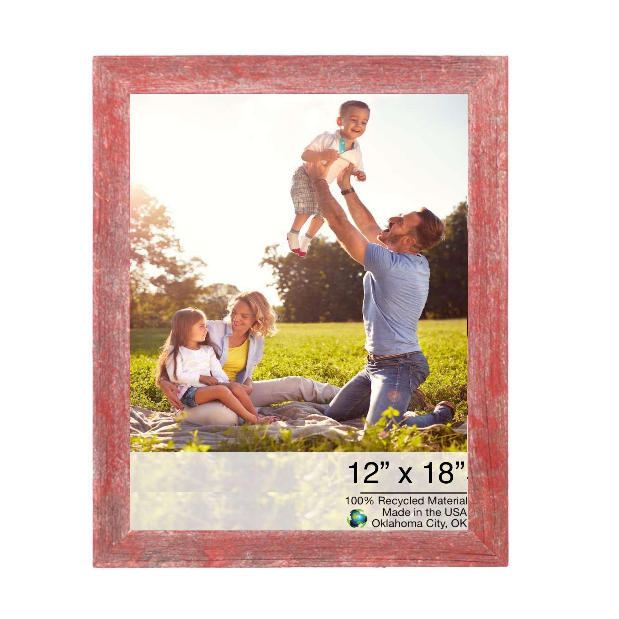 14x21 Rustic Red Picture Frame - Bed Bath & Beyond - 32657807