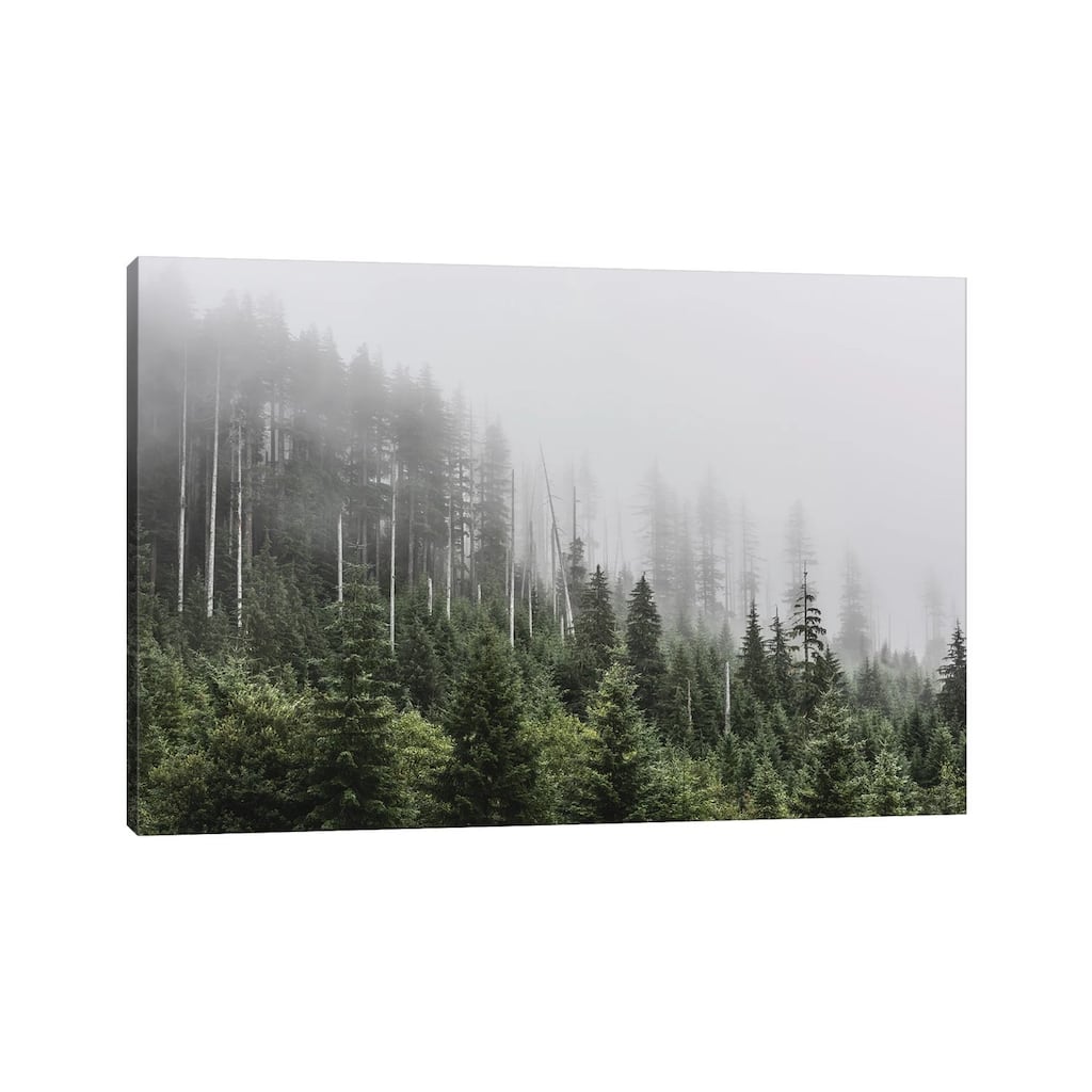 iCanvas "Pacific Northwest Forest Adventure" by Nature Magick Canvas Print