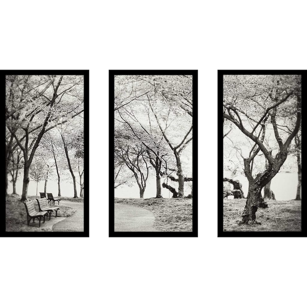 "Path Walk" 3 Piece Print on Acrylic