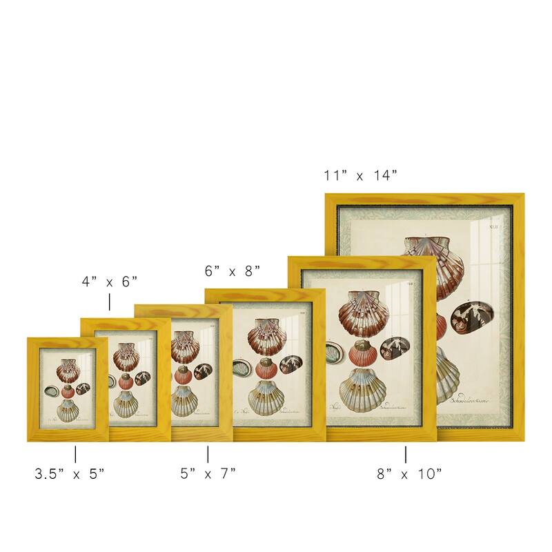 Bookplate Shells III -Framed Print w/glass-Cherry Red
