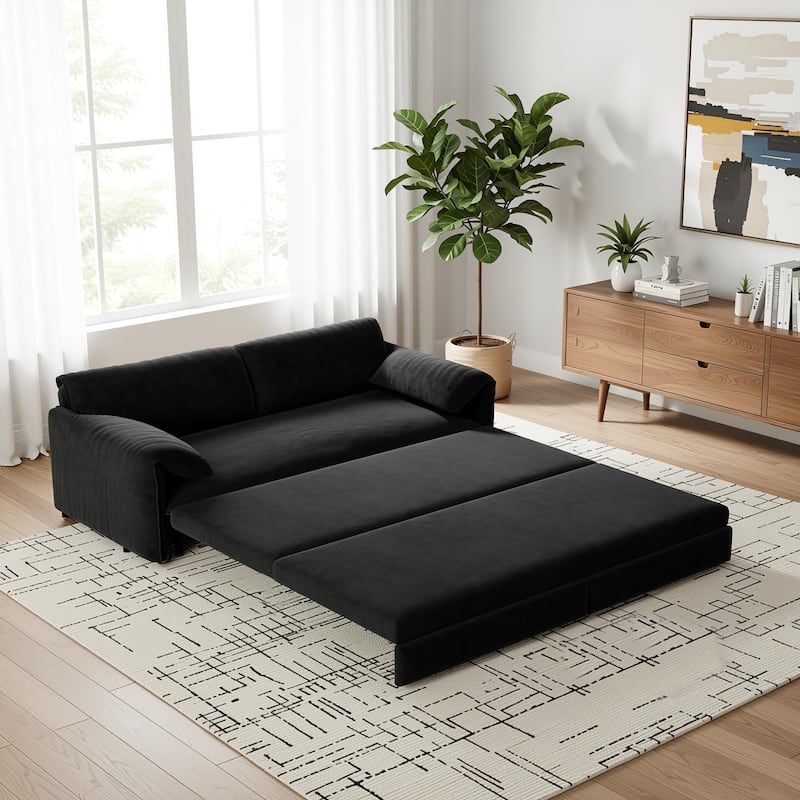 Homy Casa 66" Queen Pull-Out Sofa Bed with Storage, Velvet Loveseat