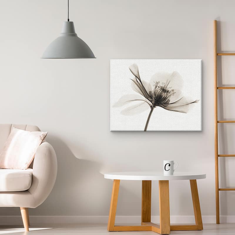 Hellebore II by Robert Coop Canvas Art Print