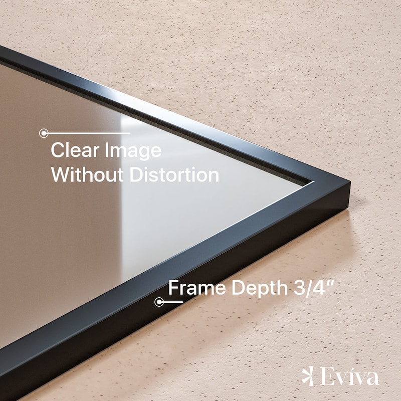 Eviva Black 24" x 30" Rectangular Black Metal Framed Mirror