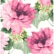 Option Cerise Pink & Evergreen