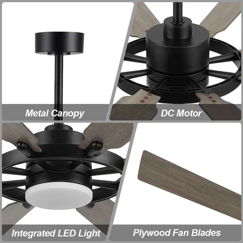 WINGBO 60-inch/72-inch 8-Blades Indoor DC Motor Ceiling Fan With LED Light and Remote Control