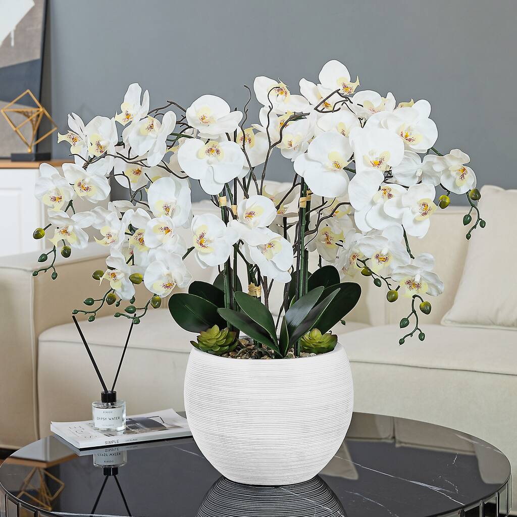 9 Stems Nearly Natural White Phalaenopsis Orchids with Succulents in White Magnesium Oxide Pot - 36.22" H x 35.43" W x 35.43" D